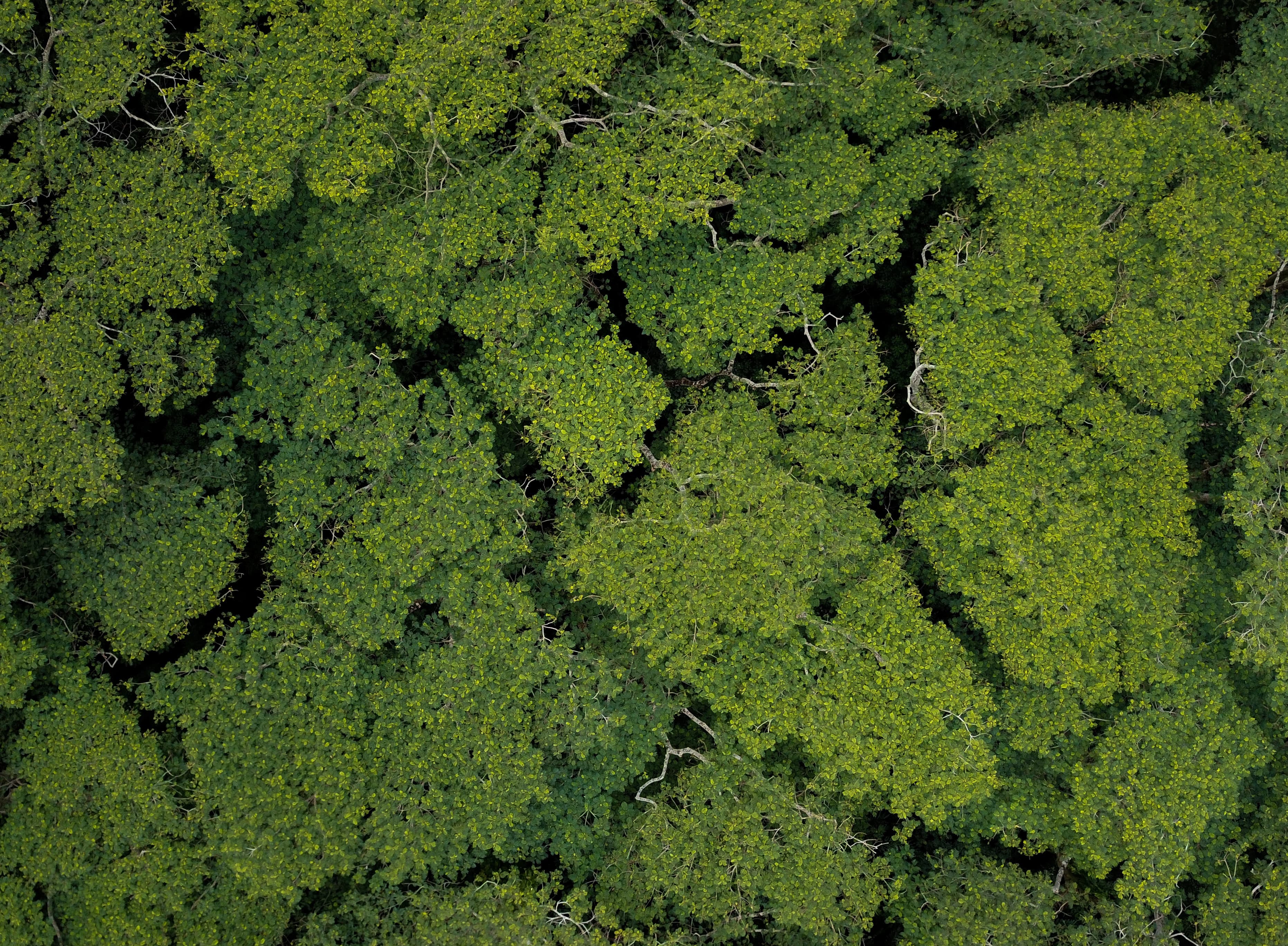 Texture